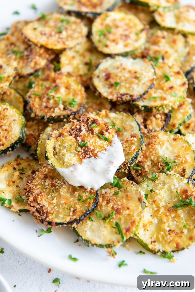 Oven Baked Zucchini Crisps 7 A serving plate filled with crispy baked zucchini chips, with one chip coated in ranch dressing.