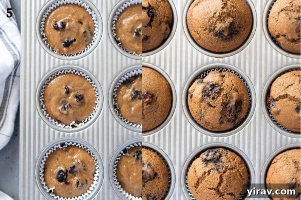 Before and after baking collage of blackberry muffins, showing raw batter in muffin cups transitioning to golden brown, perfectly baked muffins.