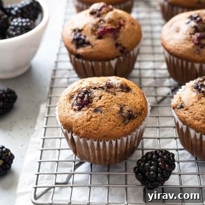 Freshly baked whole grain blackberry muffins cooling on a wire rack, garnished with vibrant fresh blackberries.