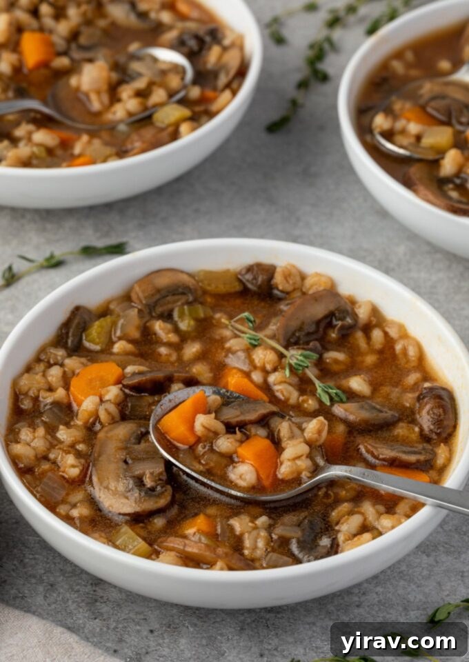 Spoonful of mushroom barley soup in a bowl