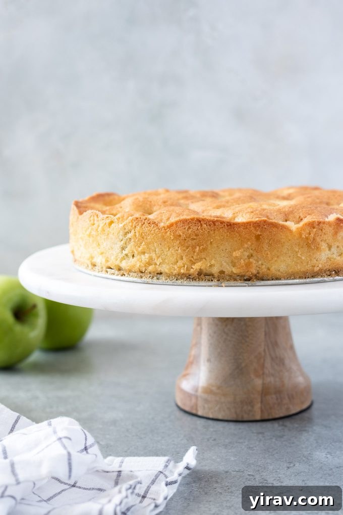 Rustic French Apple Cake 3 french apple cake on a cake stand