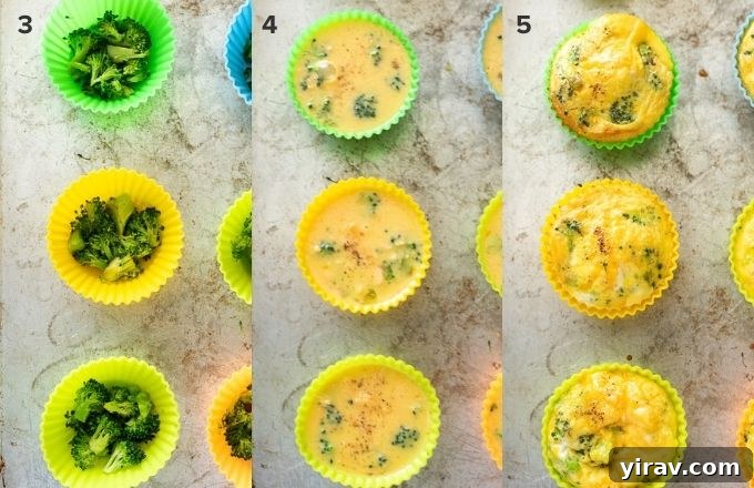 A two-part collage illustrating how to make crustless mini quiche: first, broccoli distributed into muffin cups; second, the egg mixture poured over the broccoli in the cups.