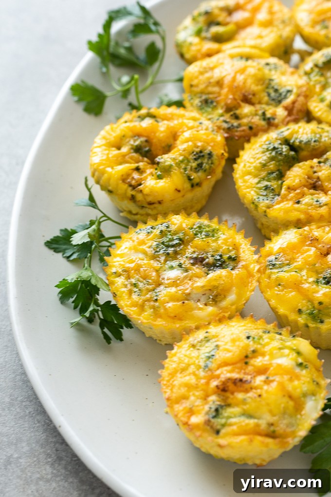 A close-up shot of golden-brown Mini Crustless Broccoli Quiche on a white serving platter, garnished with fresh herbs, highlighting their perfect texture and vibrant ingredients. Ideal for healthy breakfast or brunch meal prep.