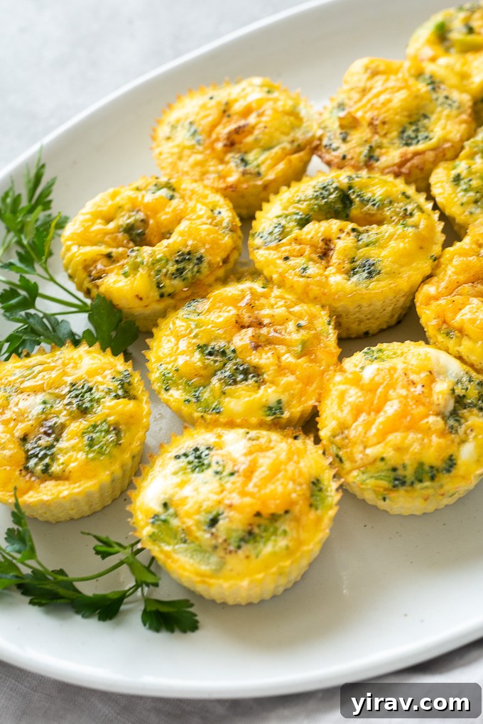 A charming platter of Mini Crustless Broccoli Quiche, garnished with fresh parsley, highlighting their simple beauty and appeal as a gluten-free and vegetarian breakfast or brunch item. Perfect for meal prep!
