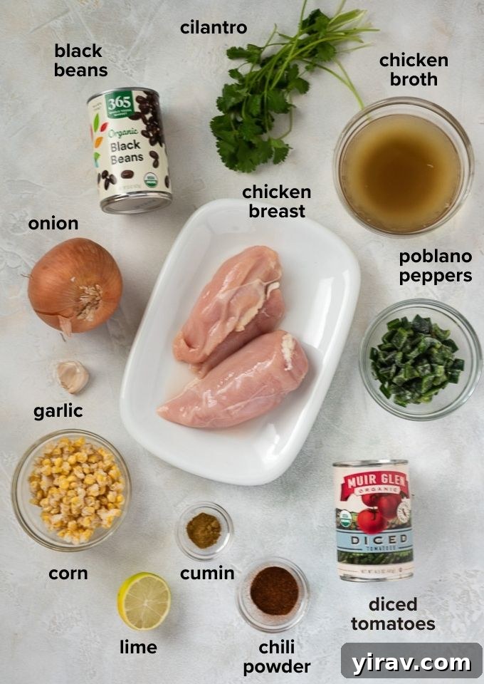 Chicken tortilla soup recipe ingredients