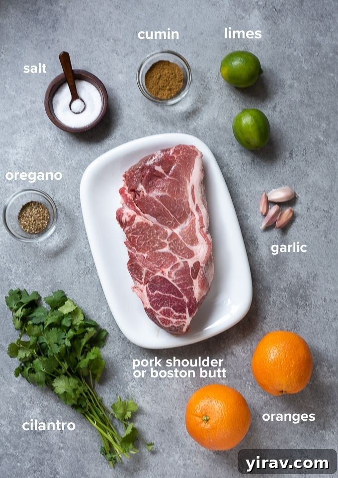 Pork carnitas ingredients