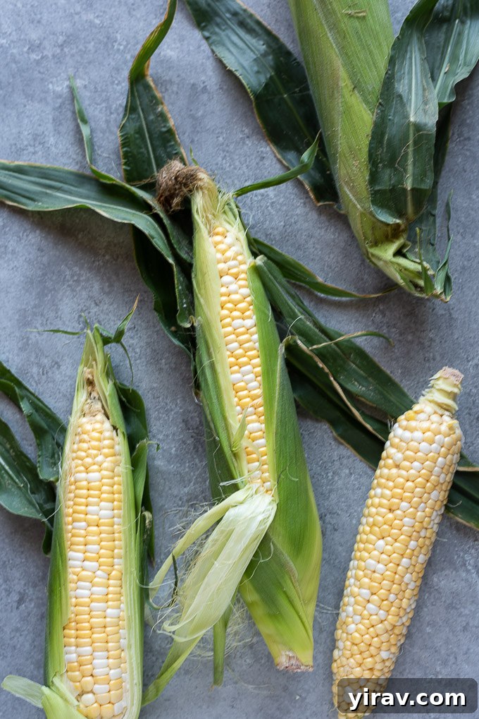 Golden Air Fryer Corn 4 Fresh corn on the cob before cooking