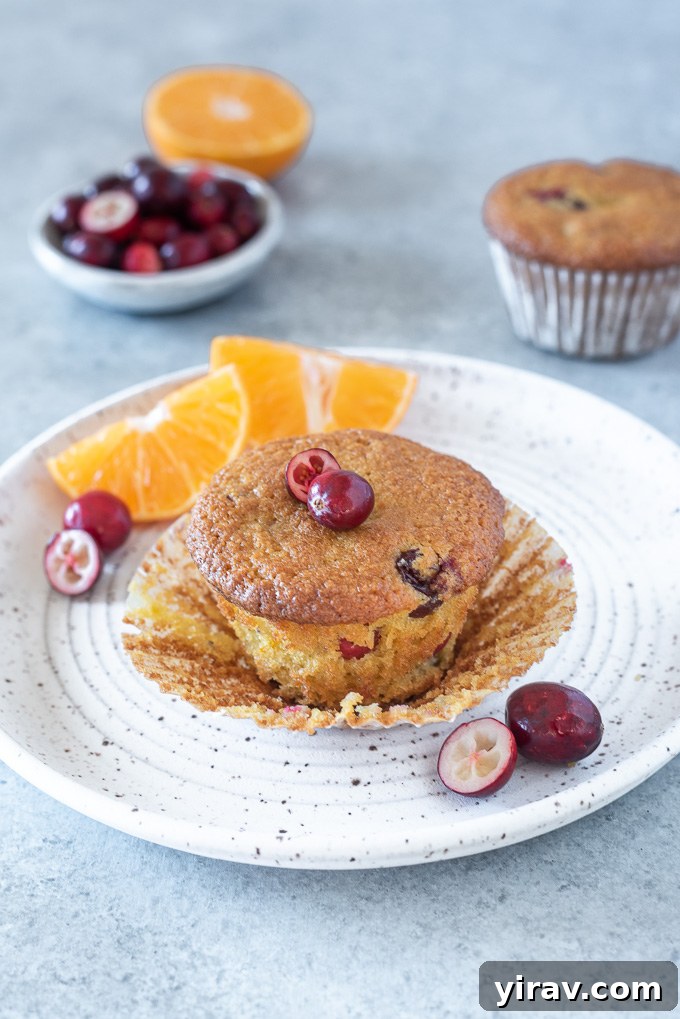 Zesty Cranberry Orange Muffins 5 A freshly baked healthy cranberry orange muffin on a white plate with its paper liner removed, revealing the perfectly golden exterior and soft interior.