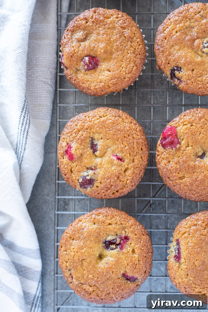 Zesty Cranberry Orange Muffins 7 A group of healthy cranberry orange muffins freshly baked and cooling on a metal wire rack.