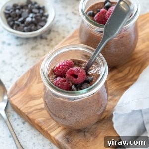 Chocolate Chia Pudding in jars with raspberries on top