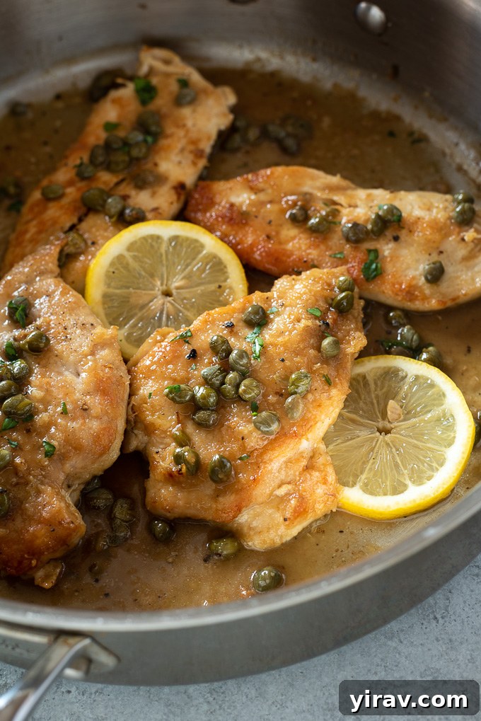 Deliciously Simple Chicken Piccata 8 Chicken piccata with lemon slices and capers in a pan, ready to serve.