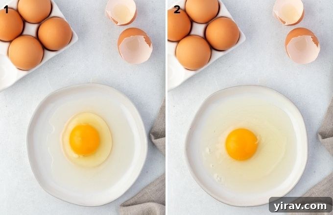 Comparison of liquid egg white in fresh and older eggs