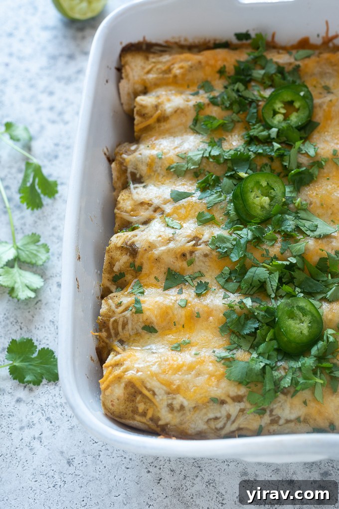 Lean Green Turkey Enchiladas 3 Baked green enchiladas in a dish, garnished with fresh cilantro.