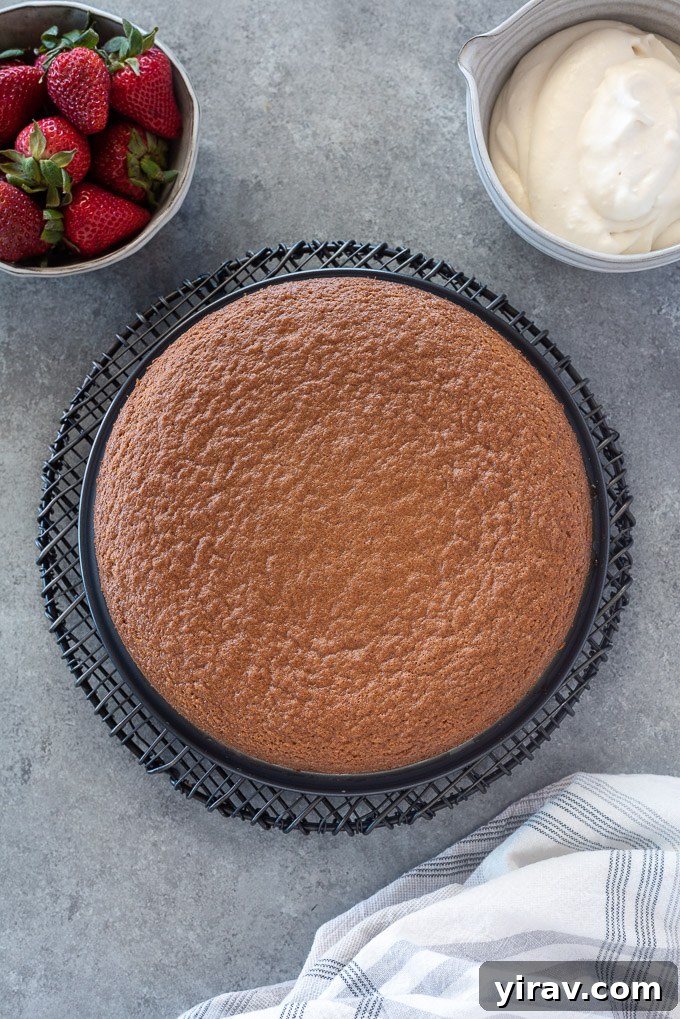 Pure Almond Bliss 6 Almond flour cake on a wire rack