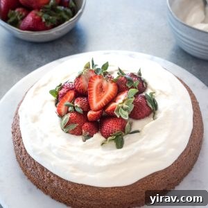 Almond flour cake topped with strawberries and whipped cream