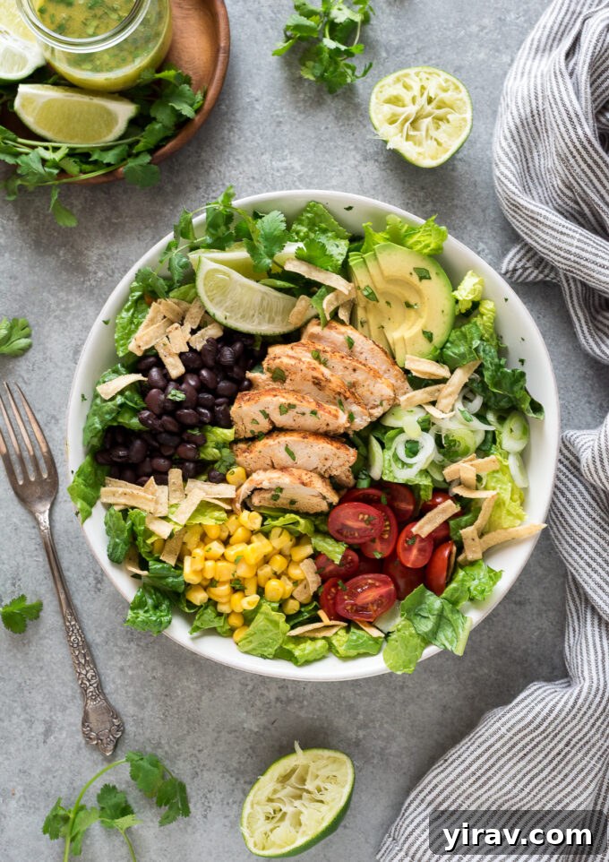 30 Refreshing Summer Salad Ideas 7 Santa Fe Chicken Salad topped with perfectly sliced chicken breast.