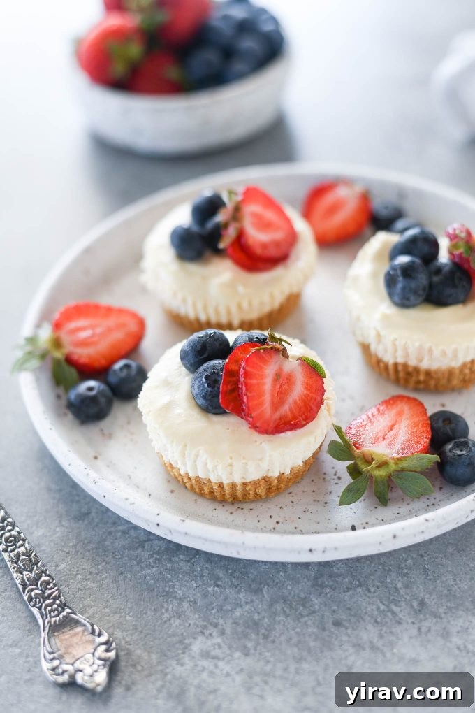No-Bake Cheesecake Bites 2 Mini no bake cheesecakes elegantly arranged on a white serving plate, garnished with fresh berries.