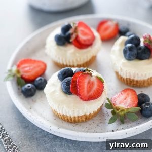 Mini no bake cheesecakes on a white plate, showcasing their inviting appearance.