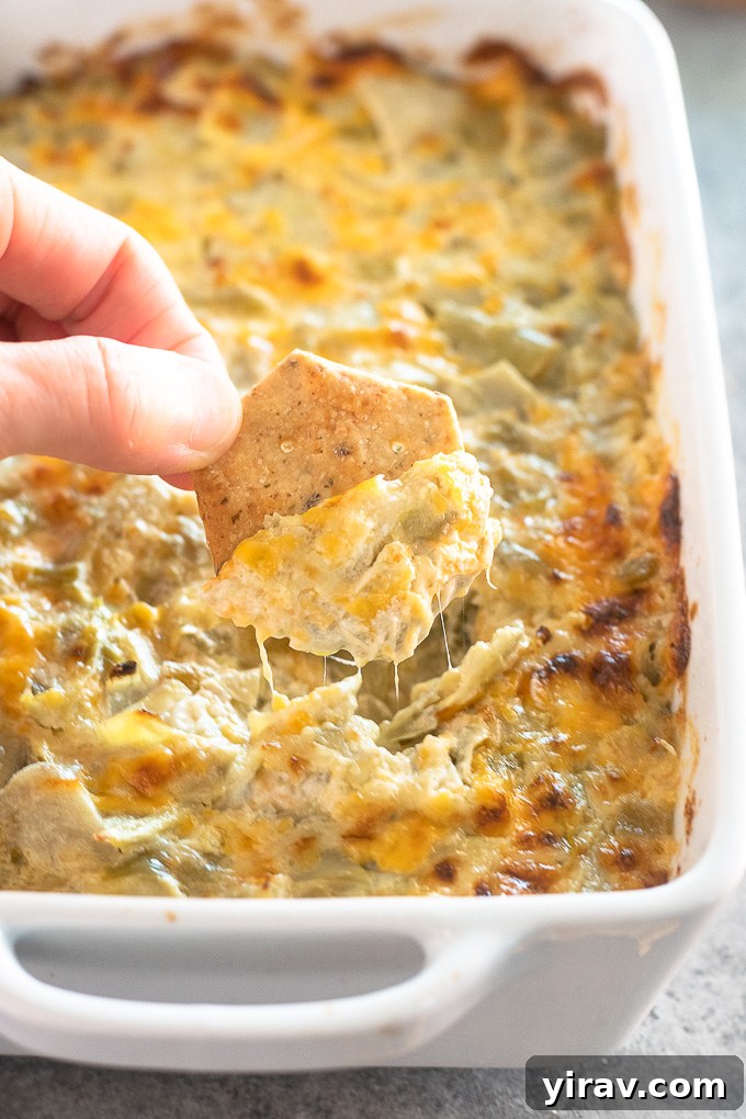 Irresistible Hot Artichoke Dip 6 A cracker being dipped into a warm, cheesy hot artichoke dip in a white baking dish.