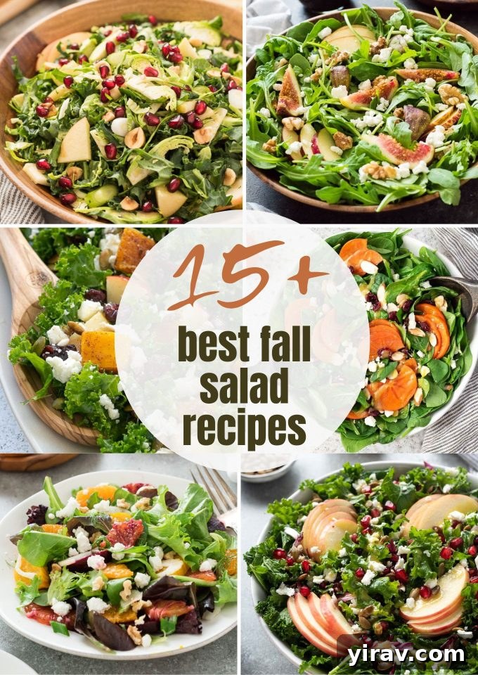 Best fall salad recipes, featuring a vibrant mix of seasonal ingredients like roasted squash and pomegranate.