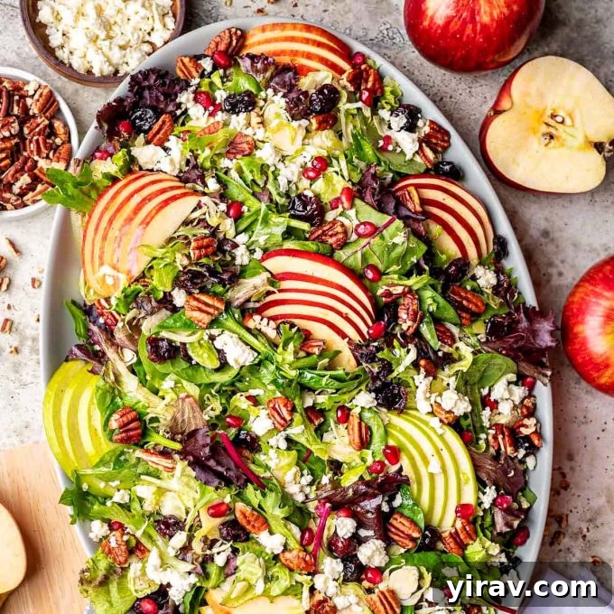 A vibrant Fall Apple Salad featuring fresh apples, dried cranberries, and toasted pecans tossed in an apple vinaigrette.