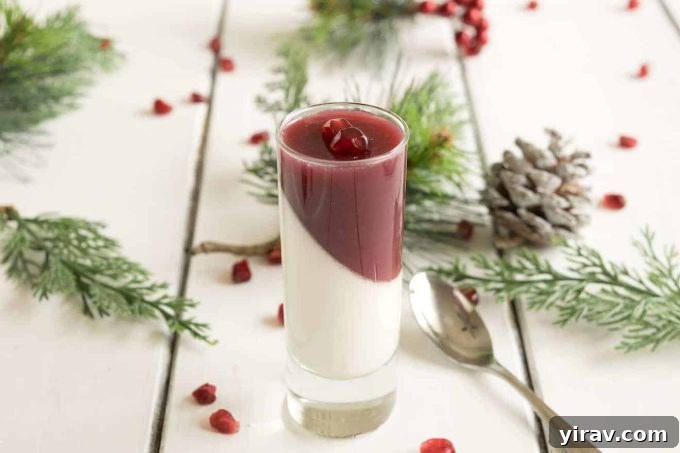 An elegant Pomegranate Panna Cotta, layered with orange-infused panna cotta and a vibrant pomegranate juice topping.