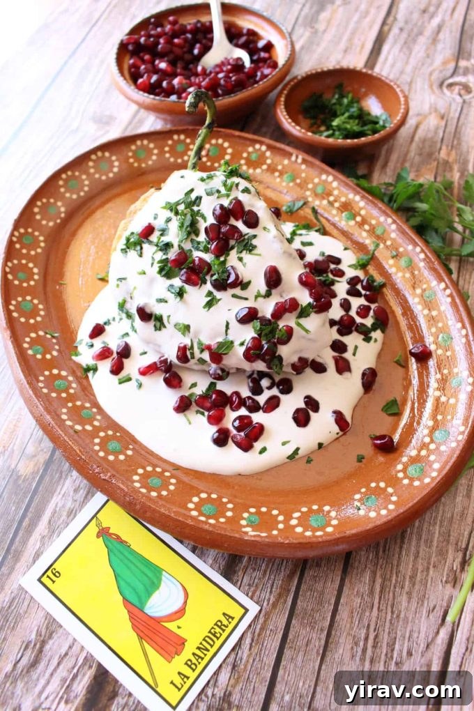 A vibrant platter of Chiles en Nogada, featuring stuffed chiles drizzled with a rich walnut sauce, parsley, and pomegranate seeds.