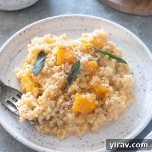 Baked butternut squash risotto on a plate with crispy sage leaves