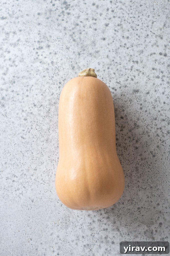 A single, ripe butternut squash resting on a wooden cutting board.
