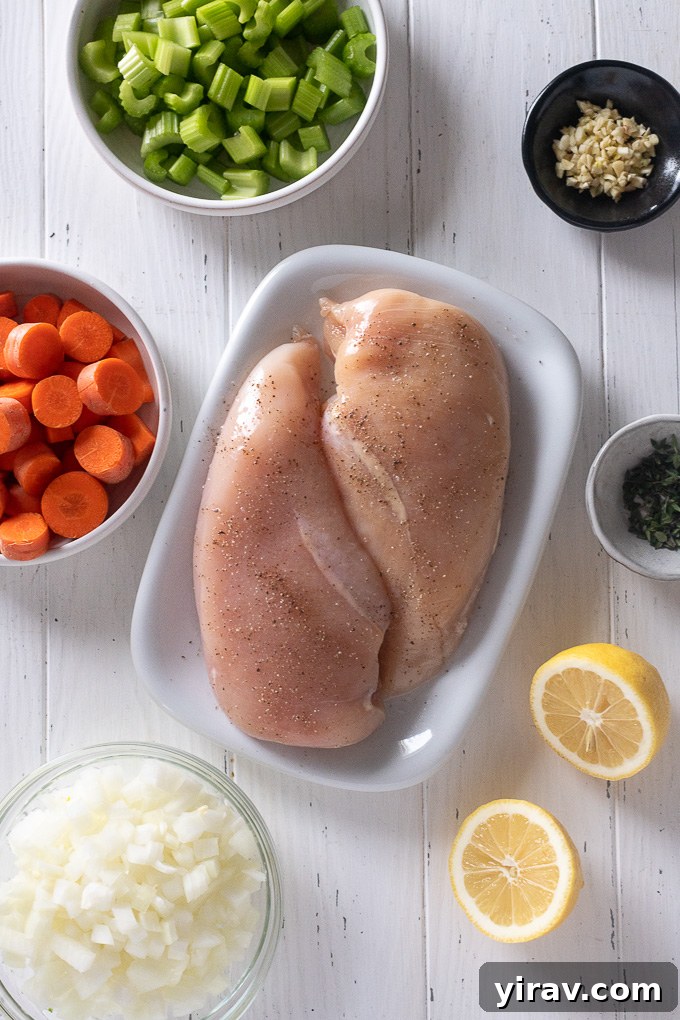 Various soup ingredients laid out, including chicken breast, fresh vegetables, and herbs