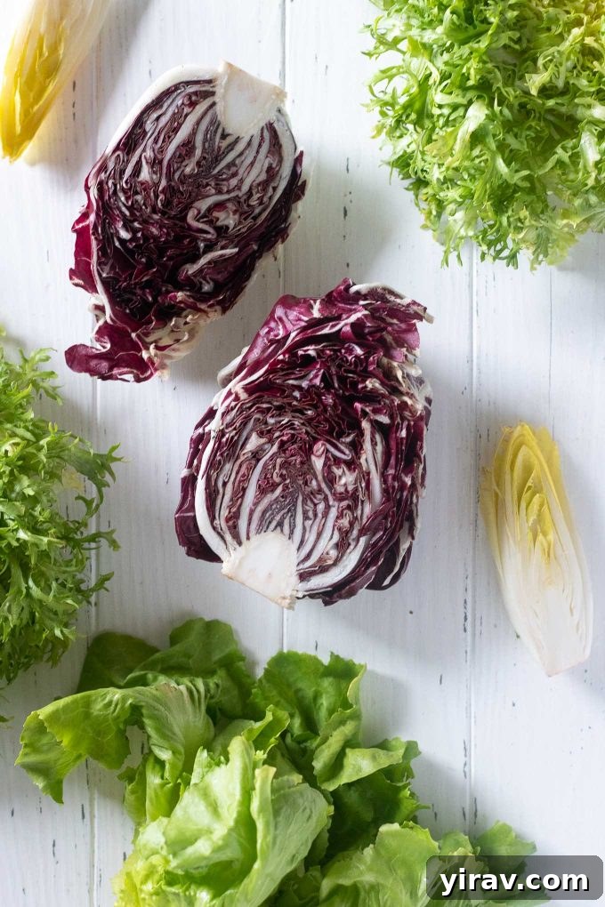 Close-up image of various chicory types including radicchio, endive, and escarole