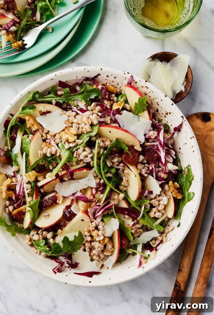 Farro Salad with arugula, apples, and a tangy vinaigrette