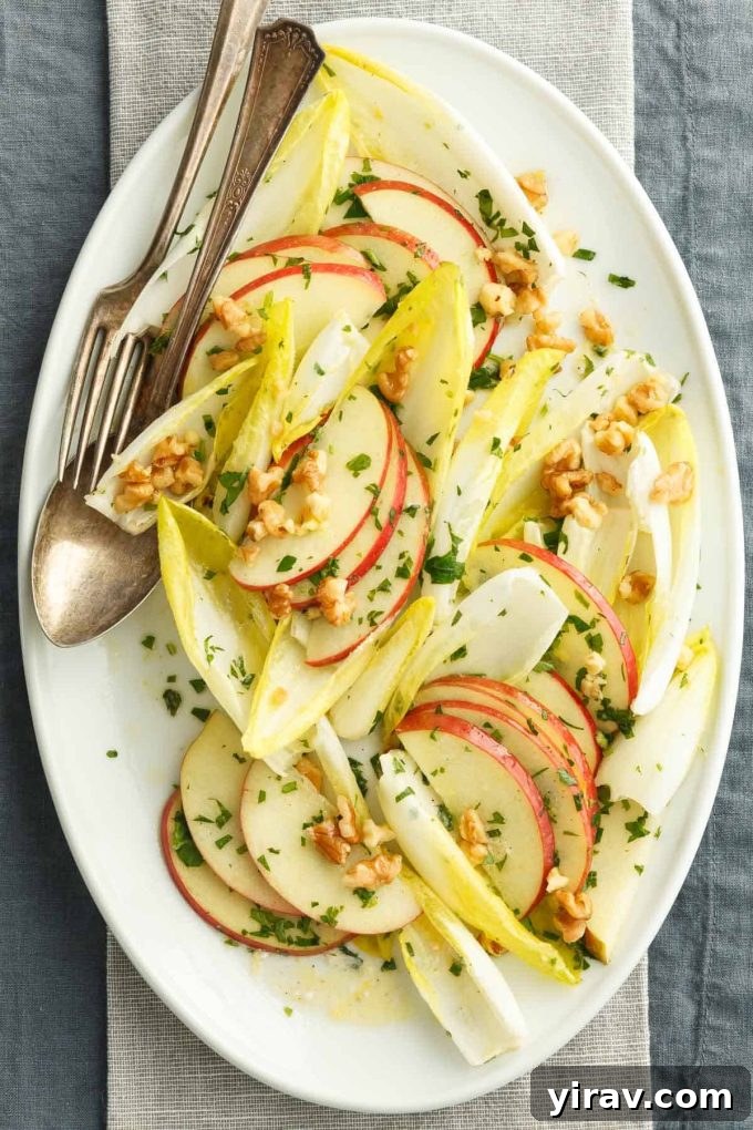 Refreshing Belgian Endive Salad with toasted walnuts and crisp apple slices