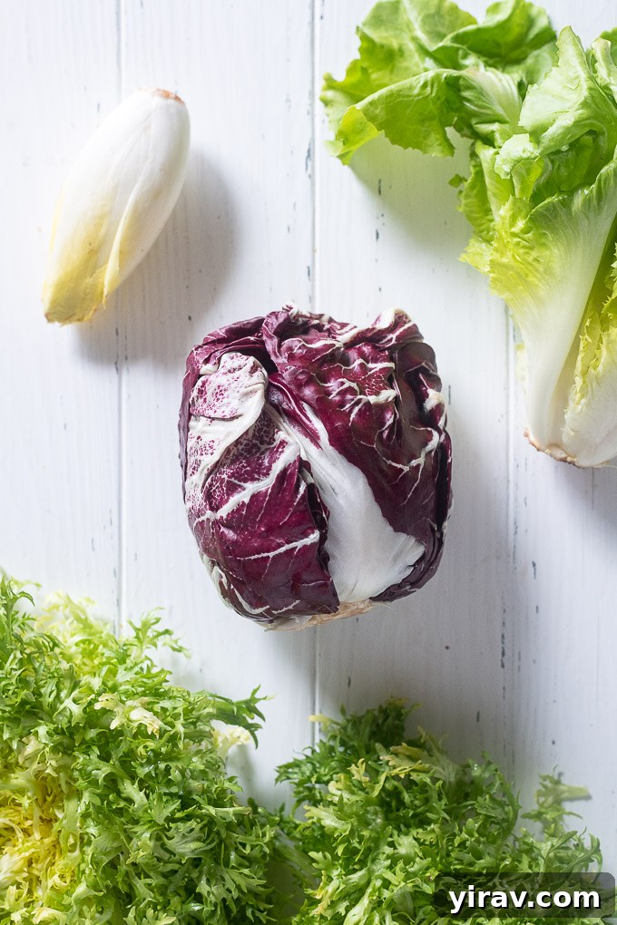 Assortment of chicory lettuces including radicchio, endive, escarole and frisée, showcasing their various colors and textures