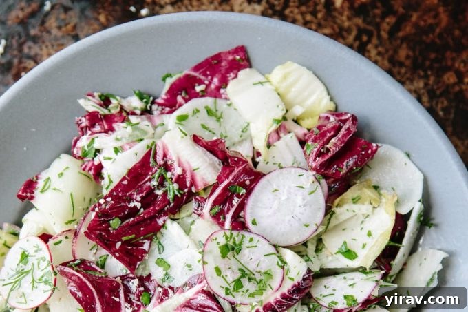 Bar Tartine’s Chicory Salad with Anchovy Dressing, a robust salad