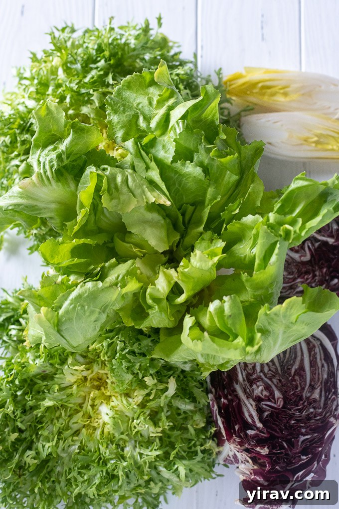 A vibrant display of various chicory types: frisée, escarole, radicchio, and Belgian endive