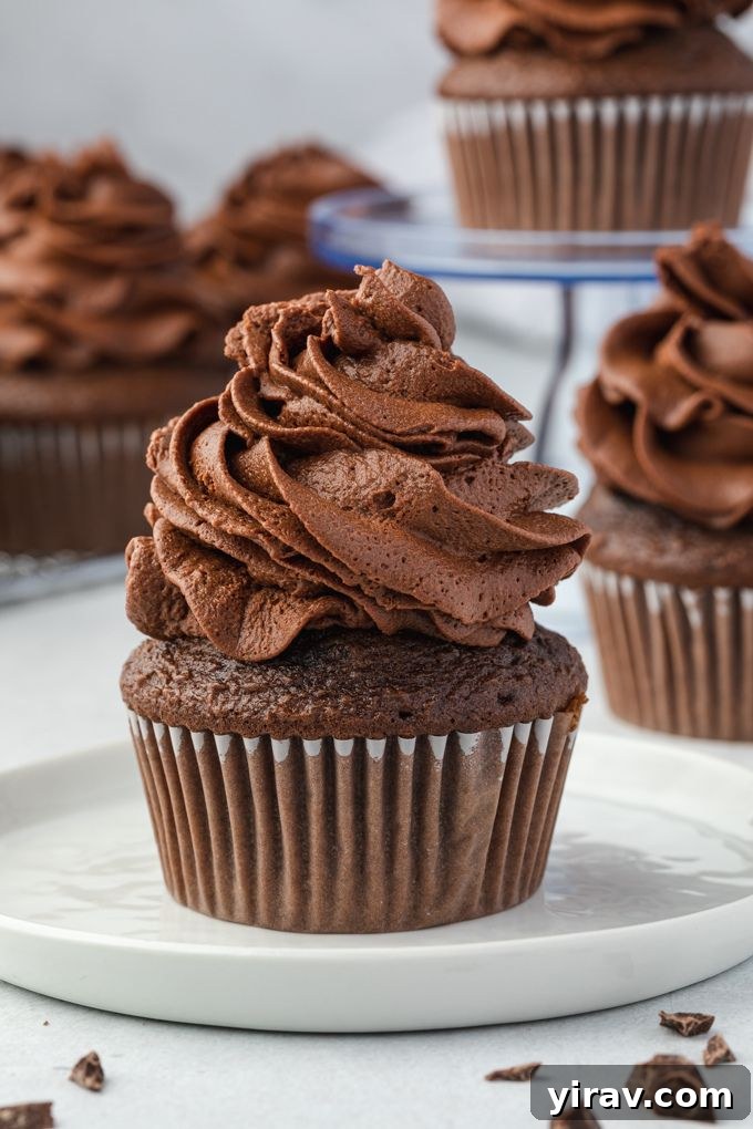 Whipped chocolate ganache frosting piped on a cupcake