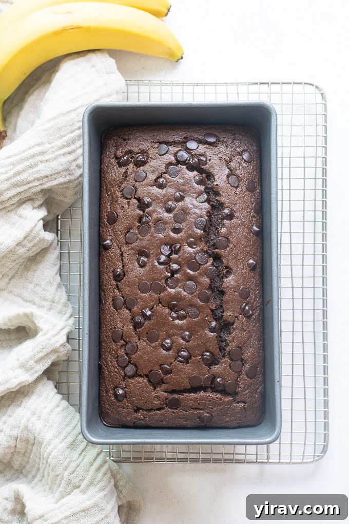 Double chocolate banana bread in loaf pan on a wire rack cooling