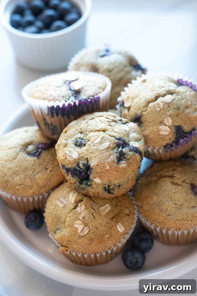 Rustic Blueberry Oat Muffins 2 A vibrant plate filled with freshly baked blueberry oatmeal muffins, showcasing their golden tops and visible blueberries.
