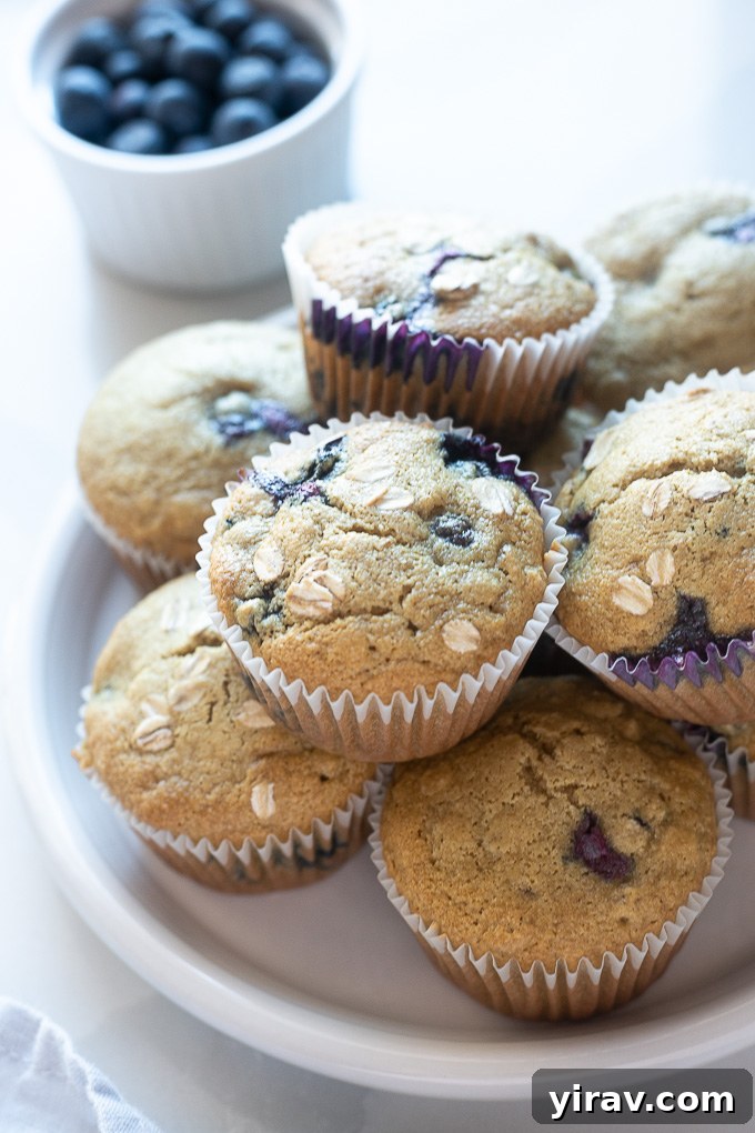 Rustic Blueberry Oat Muffins 3 A charming stack of golden-brown blueberry oat muffins arranged artfully on a pristine white plate.