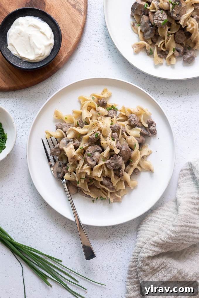 A serving of hamburger stroganoff on a white plate, garnished with fresh chives.