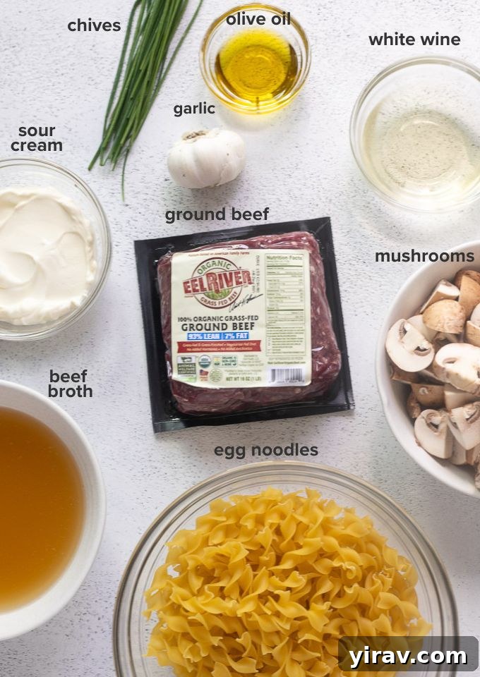 A collection of fresh ingredients laid out, including ground beef, mushrooms, egg noodles, garlic, and sour cream, ready for making stroganoff.