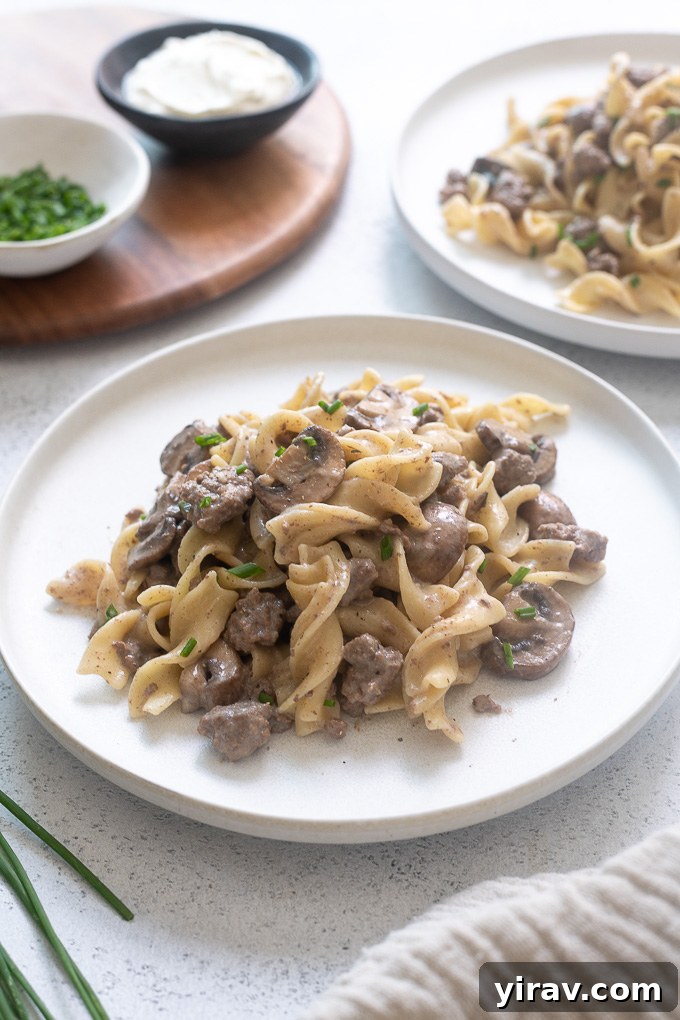 A close-up of ground beef stroganoff served on a white plate, showing the creamy sauce and noodles.