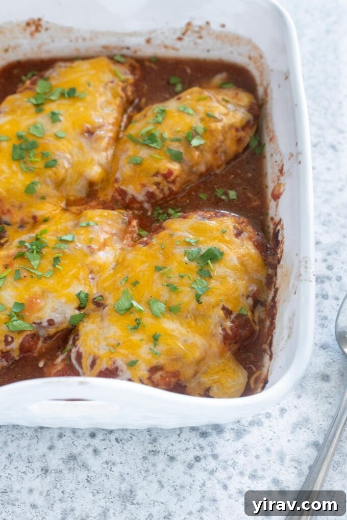 Zesty Baked Salsa Chicken 2 Baked salsa chicken with melted cheese and fresh cilantro garnish