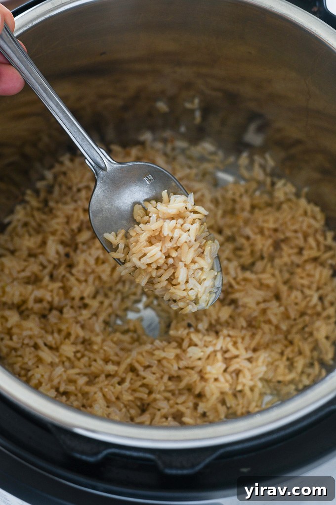 Spoonful of brown rice in instant pot