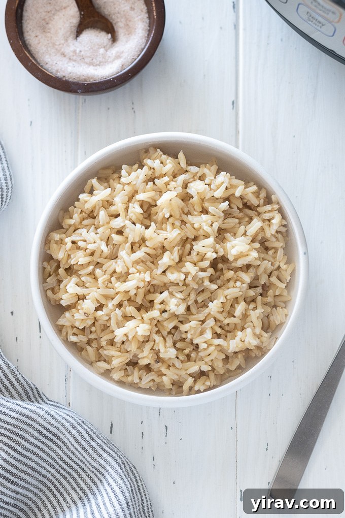 Small bowl of Instant Pot brown rice