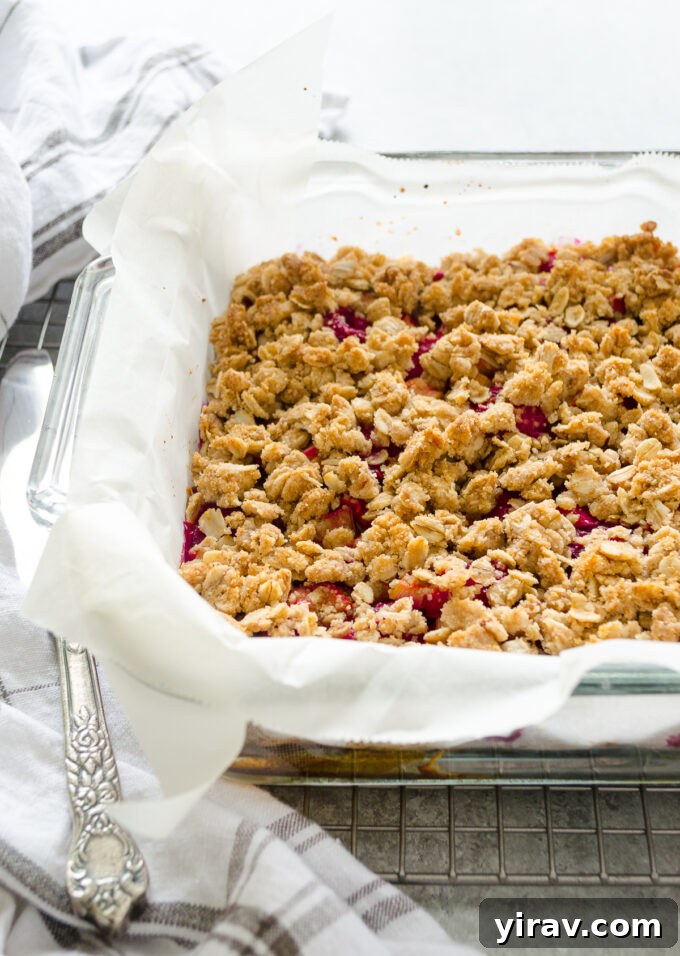 Sweet-Tart Raspberry Rhubarb Bars 4 Raspberry rhubarb bars cooling in a baking dish after being baked.