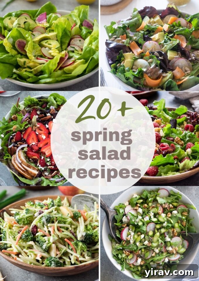 Vibrant collage of various spring salad recipes, showcasing fresh ingredients and colorful presentations perfect for seasonal dining.