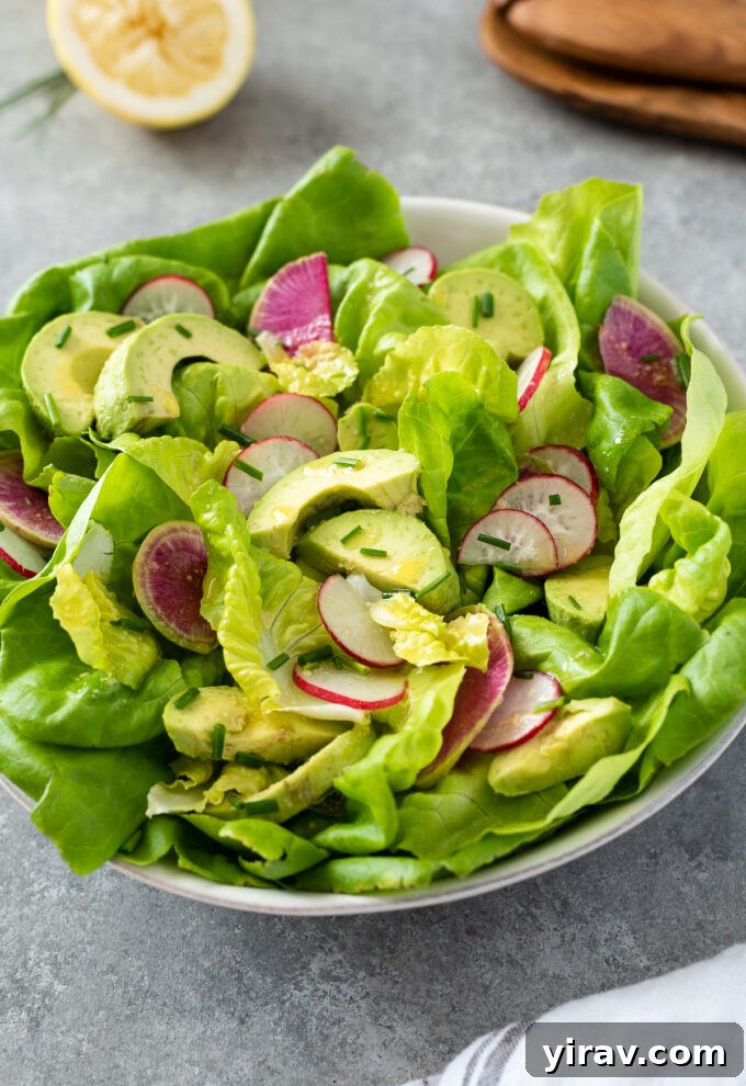 Elegant Butter Lettuce Salad in a bowl, with creamy avocado slices and crisp radish, dressed with a bright lemon vinaigrette.