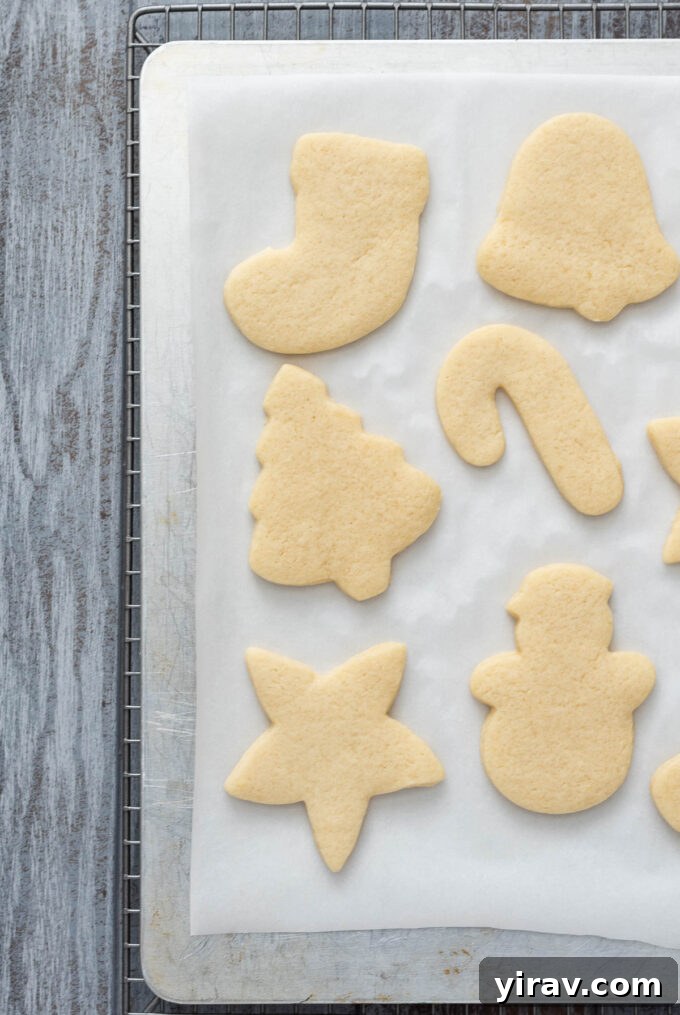 Soft cut out sugar cookies cooling on a baking sheet lined with parchment paper.